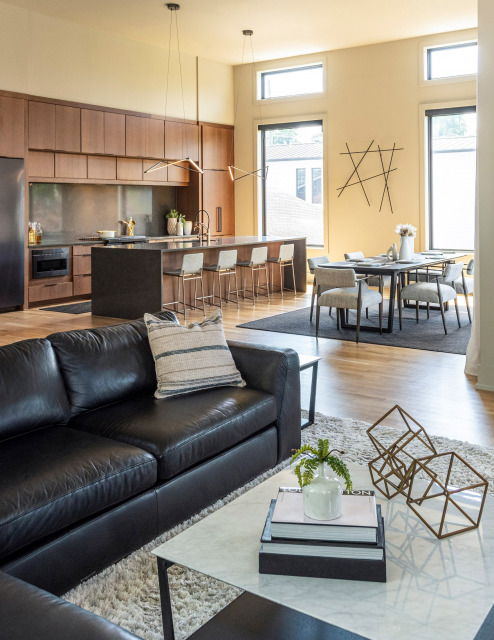Living Room and Kitchen