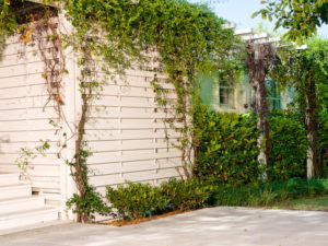 environmentally sustainable green house home architecture interior design nashville