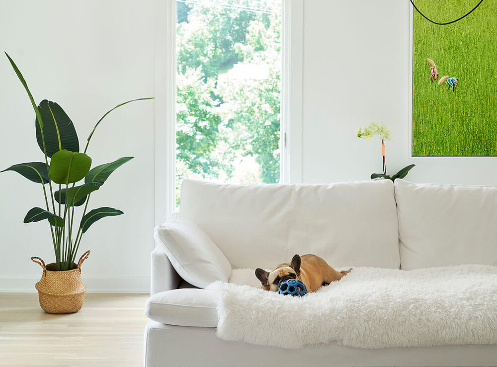 Modern Marcelle Guilbeau