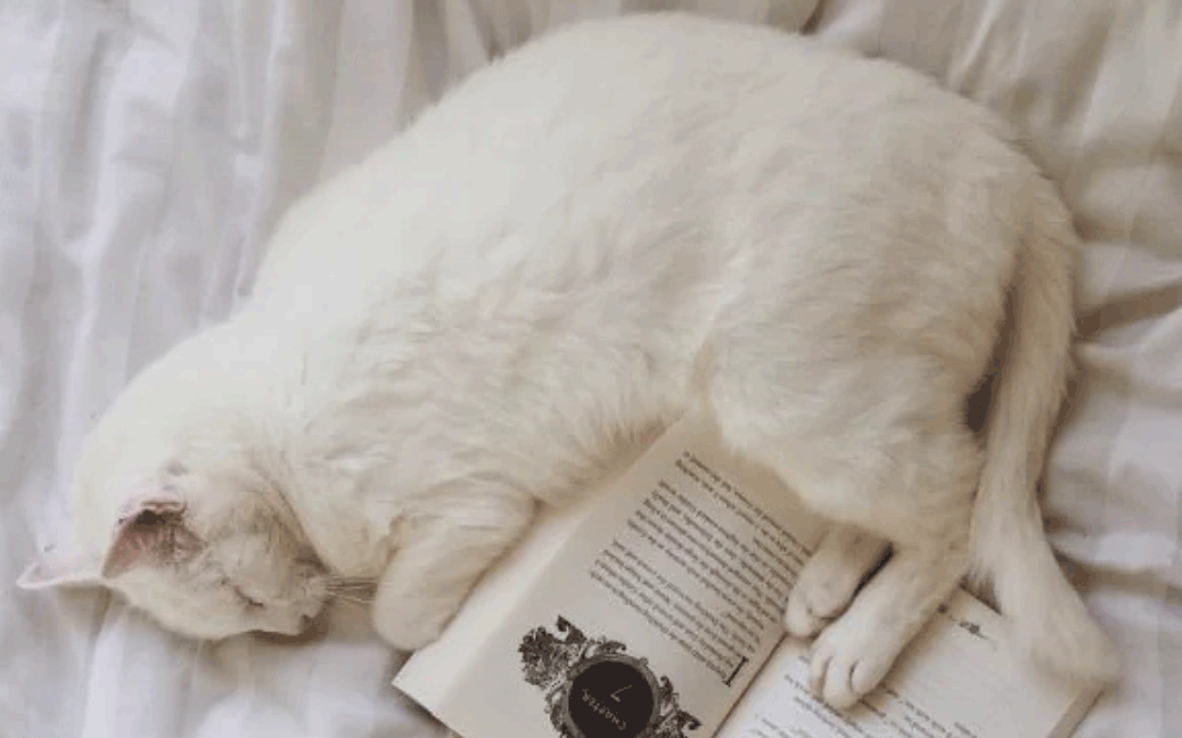 Soulful Living Summer Reading List